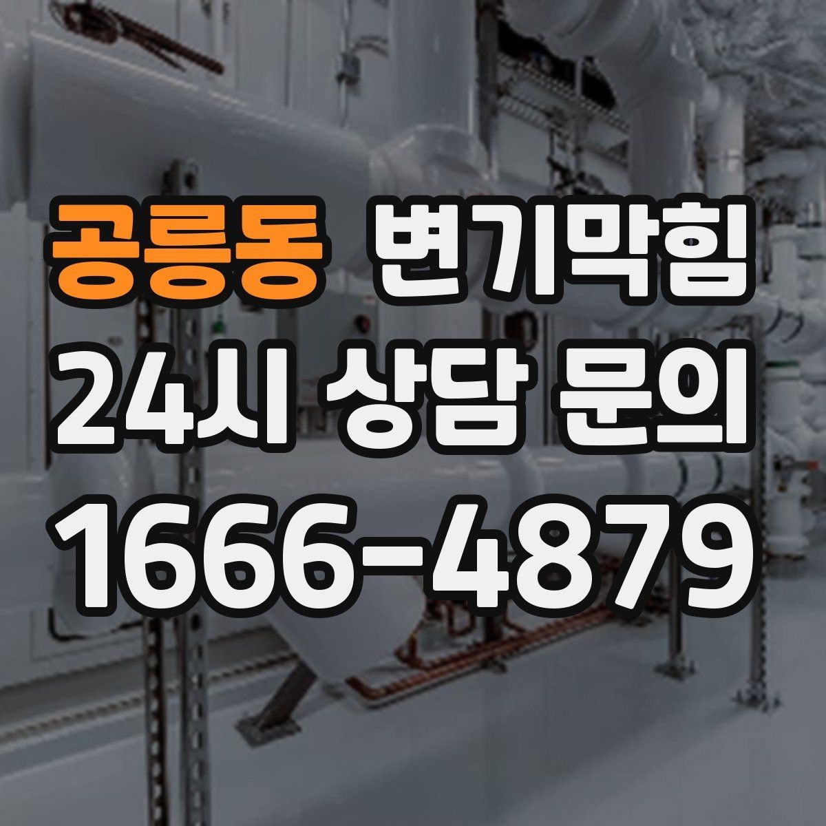 공릉동 변기막힘 단독 주택 배수구막힘 장판 얼룩 종결