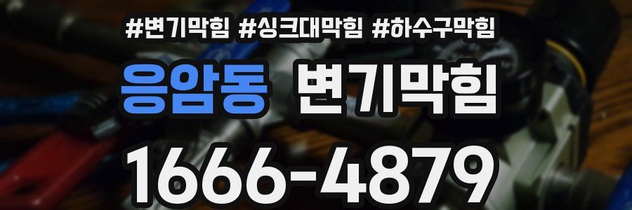 변기막힘