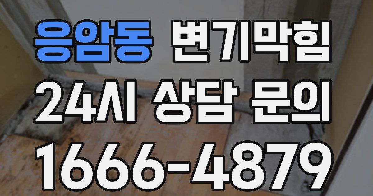 응암동 변기