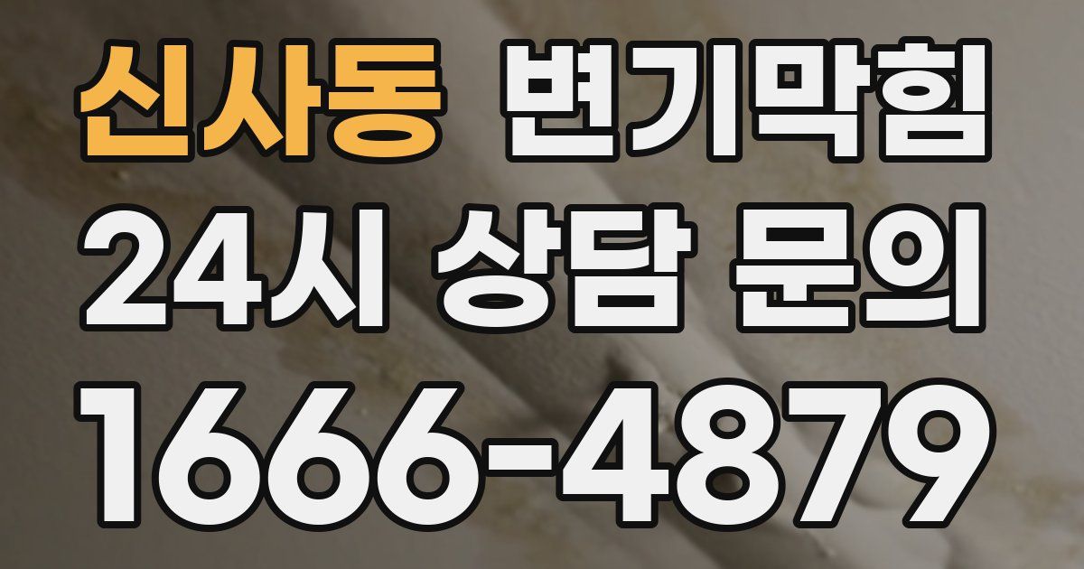 신사동 변기