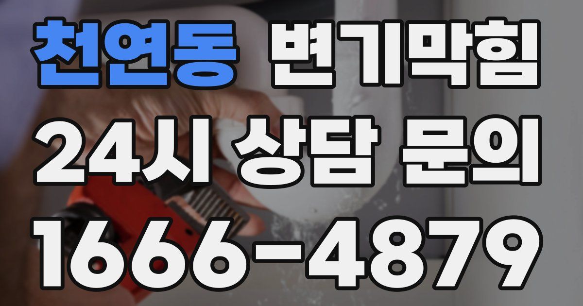 천연동 변기
