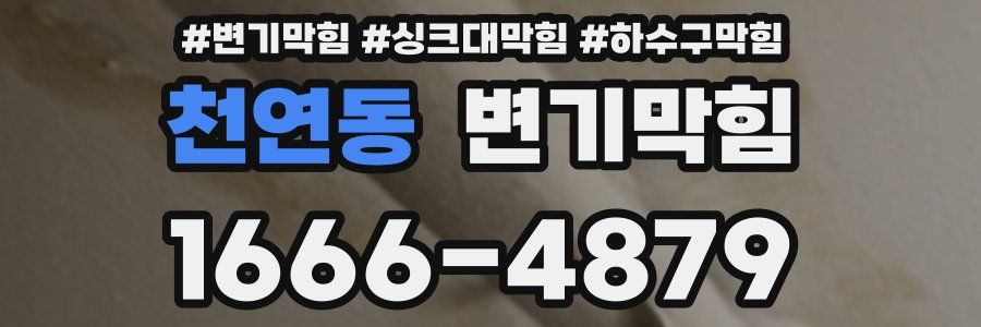 변기막힘