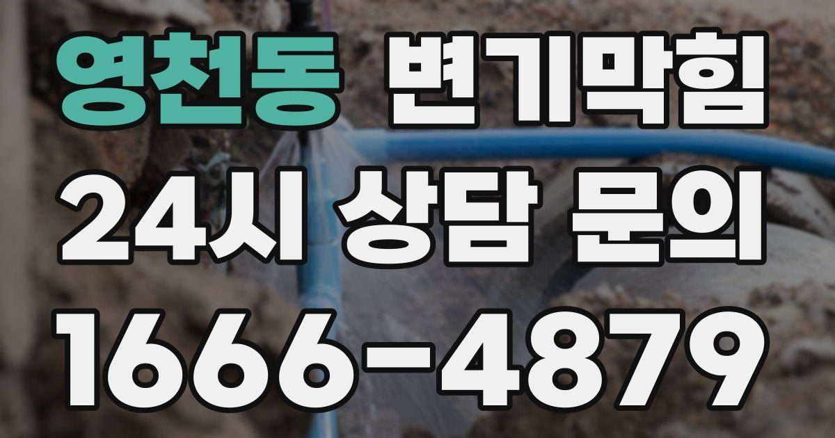 영천동 변기