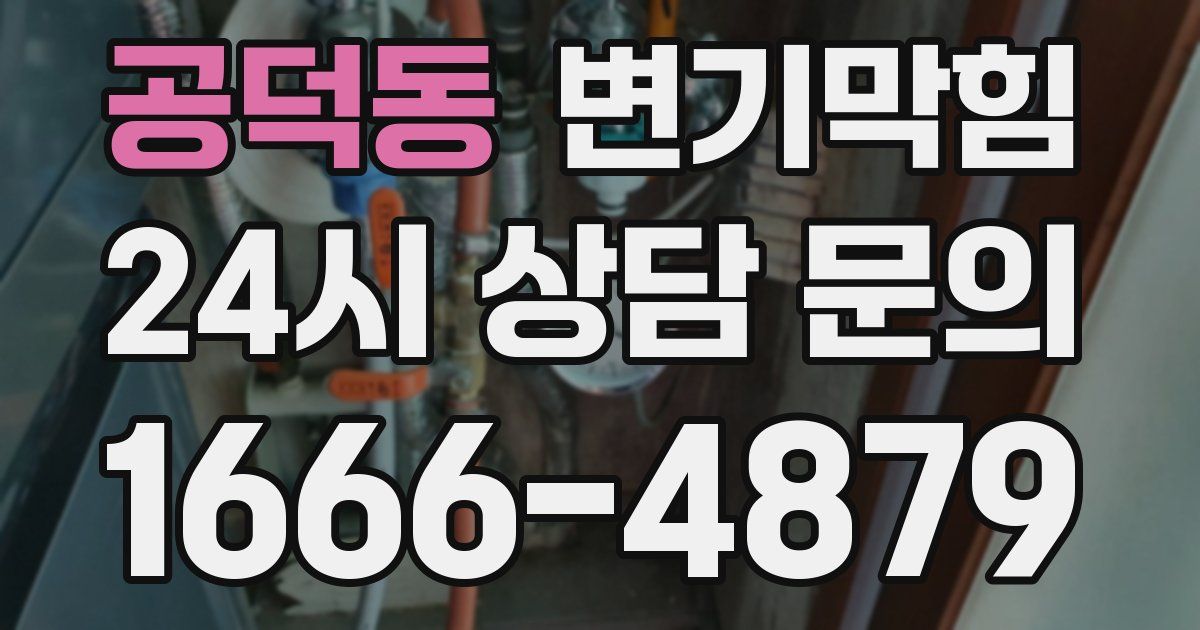 공덕동 변기