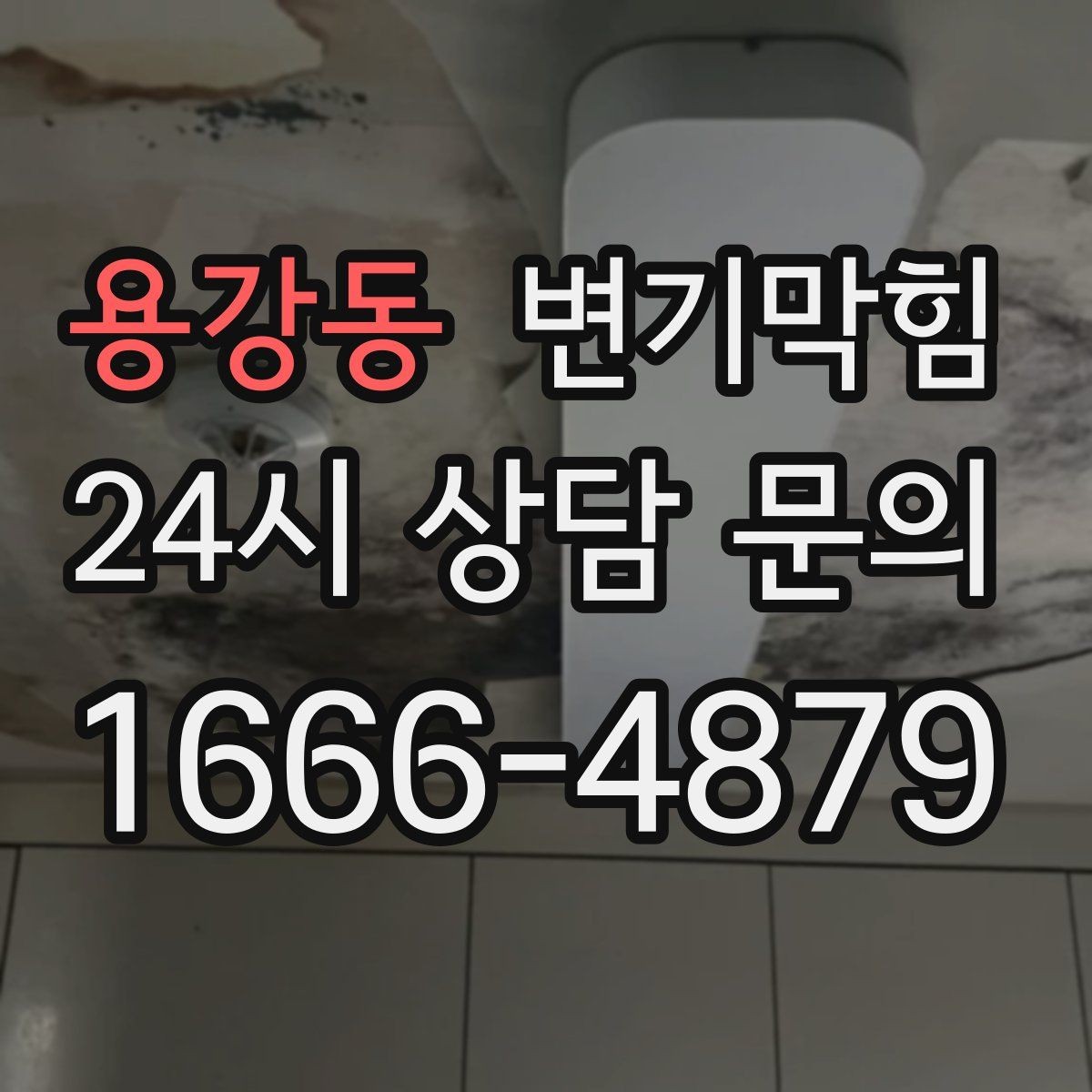 용강동 변기막힘 단독 주택 내시경 병목 제거
