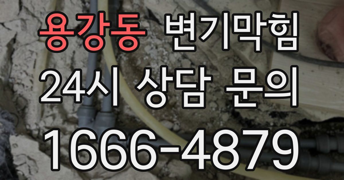용강동 변기