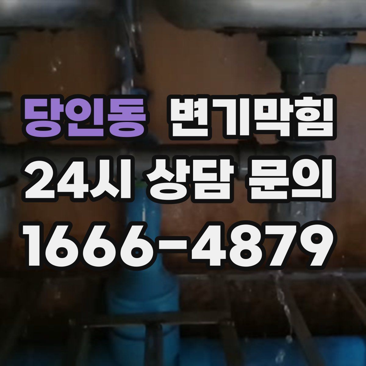 당인동 변기막힘 원룸 수봉 유지 체크