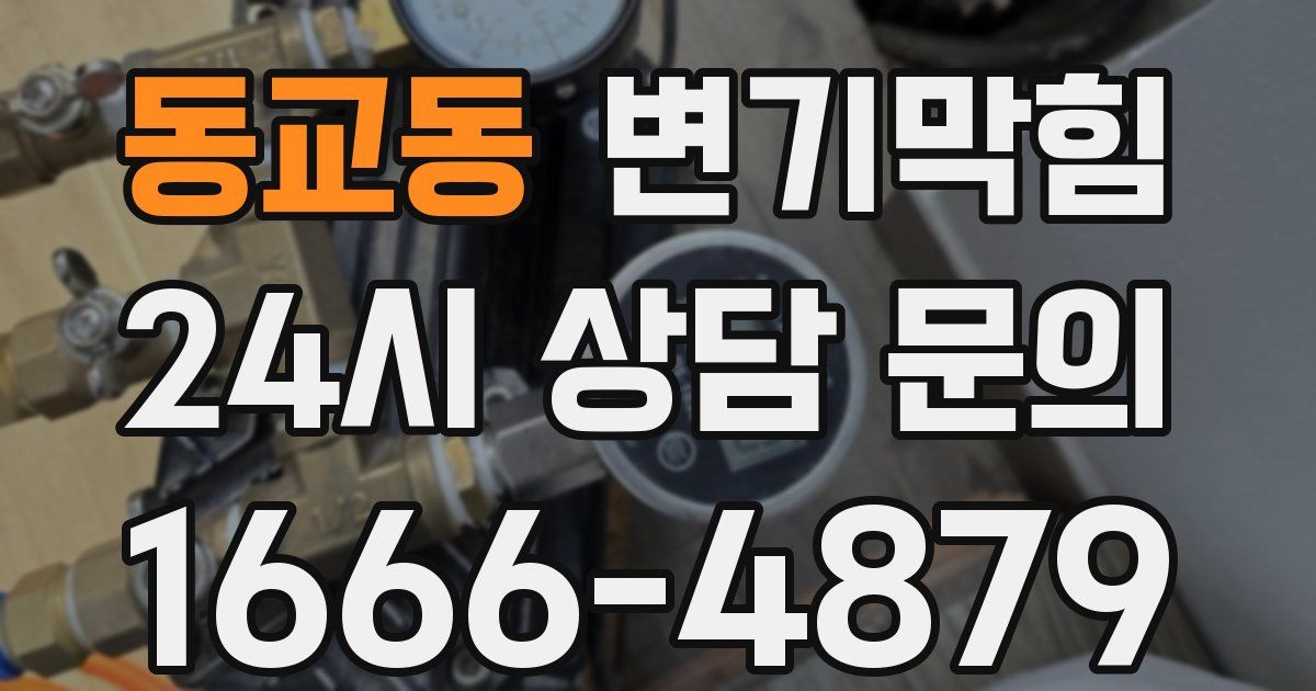 동교동 변기