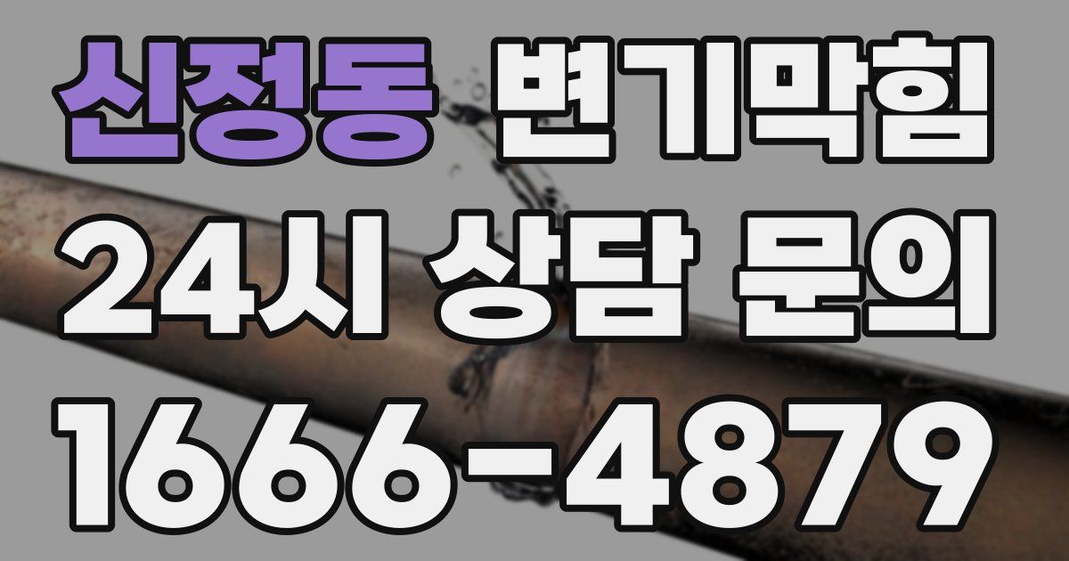 신정동 변기