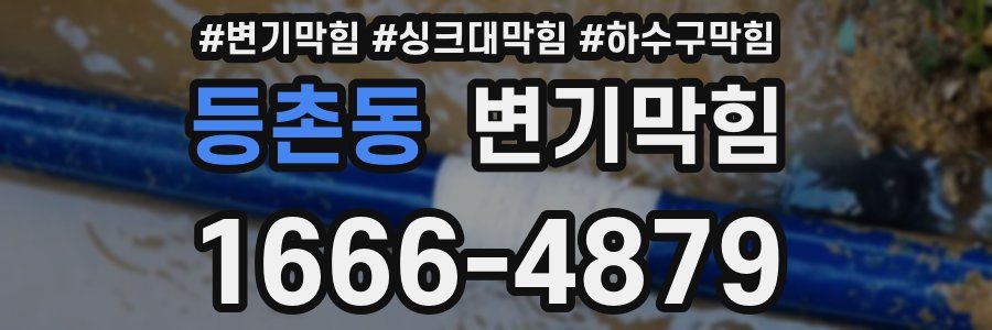 변기막힘