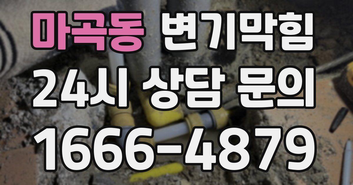마곡동 변기