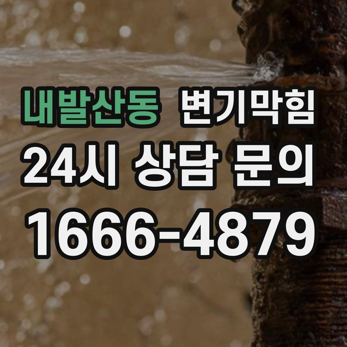 내발산동 변기막힘