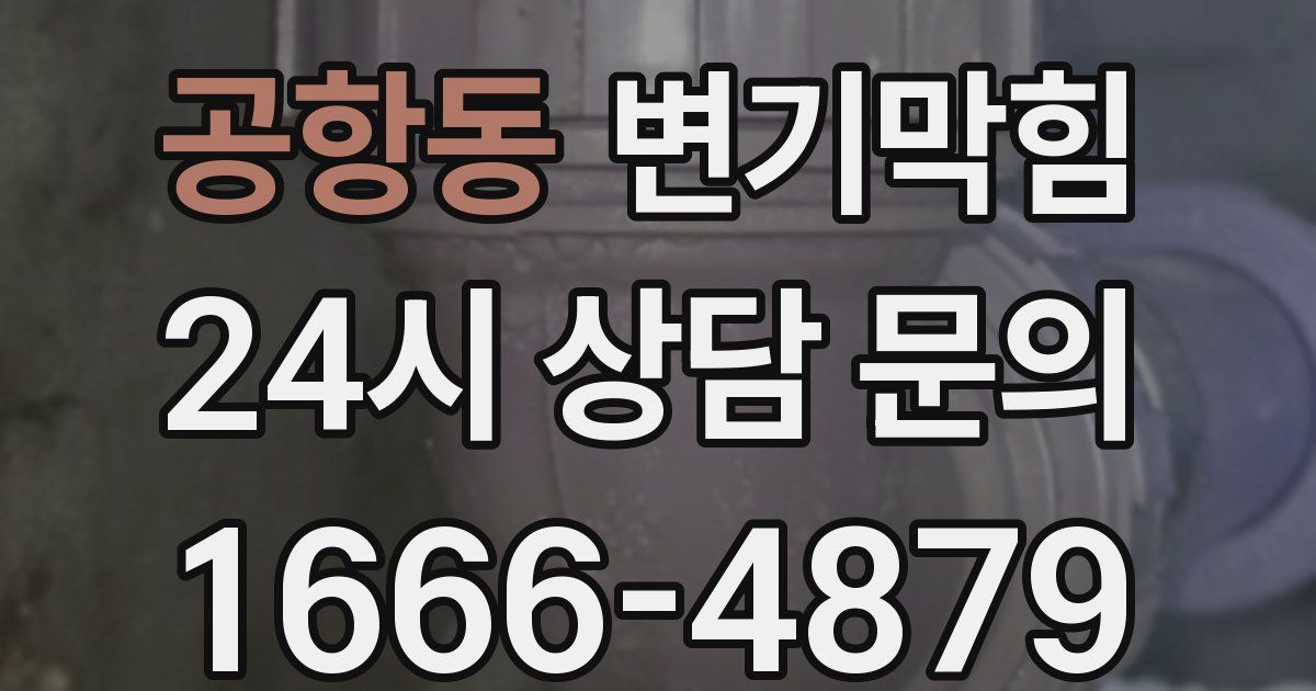 공항동 변기