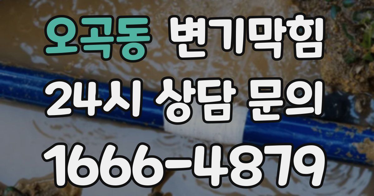 오곡동 변기