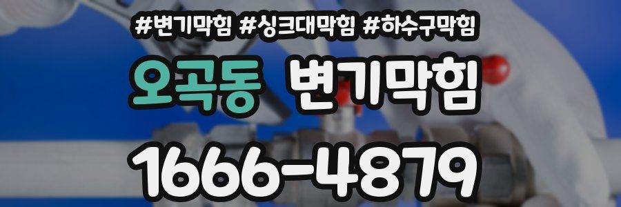 변기막힘