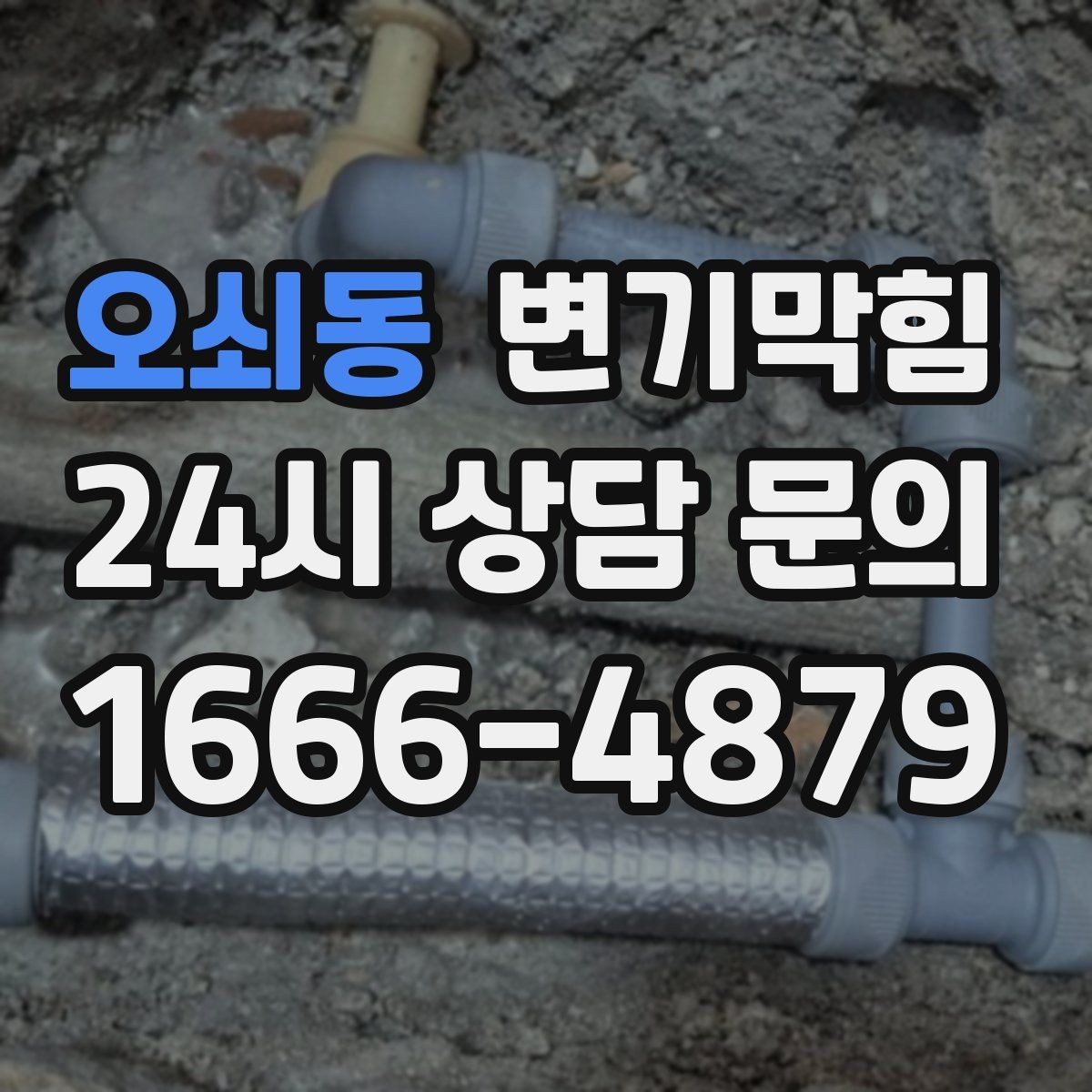 오쇠동 변기막힘 사무실 내시경으로 이물 회수