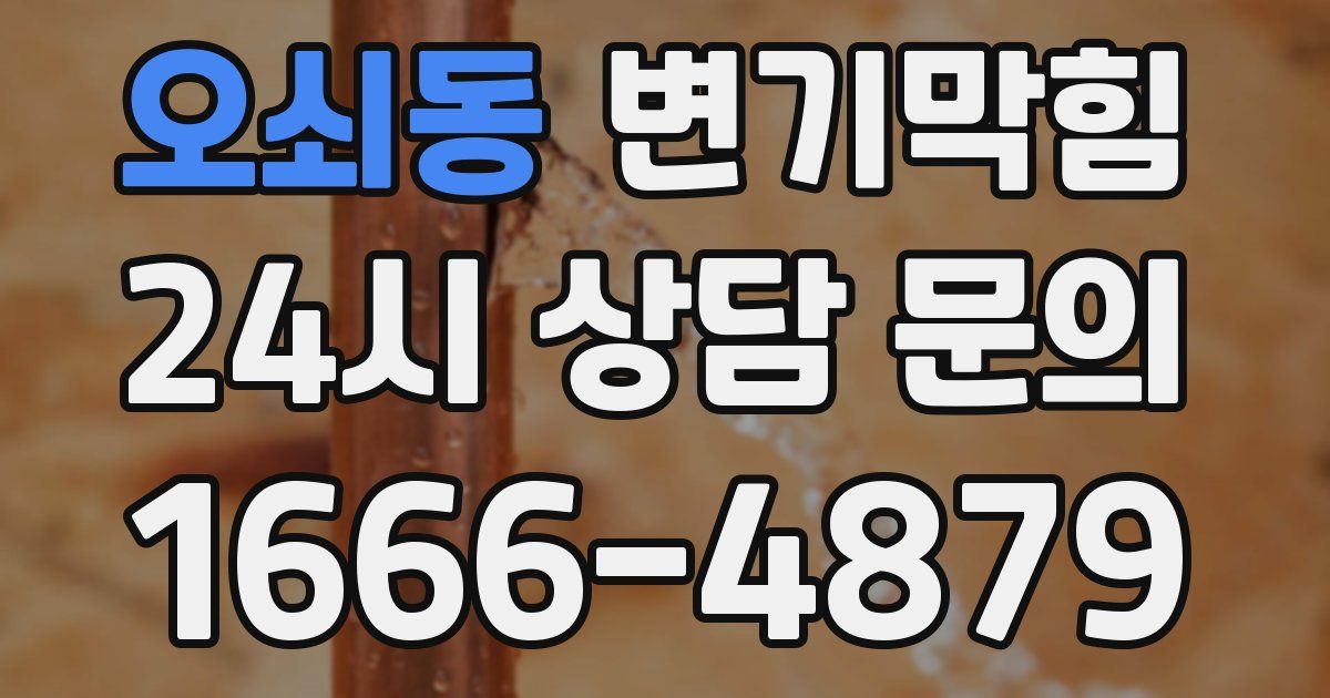 오쇠동 변기