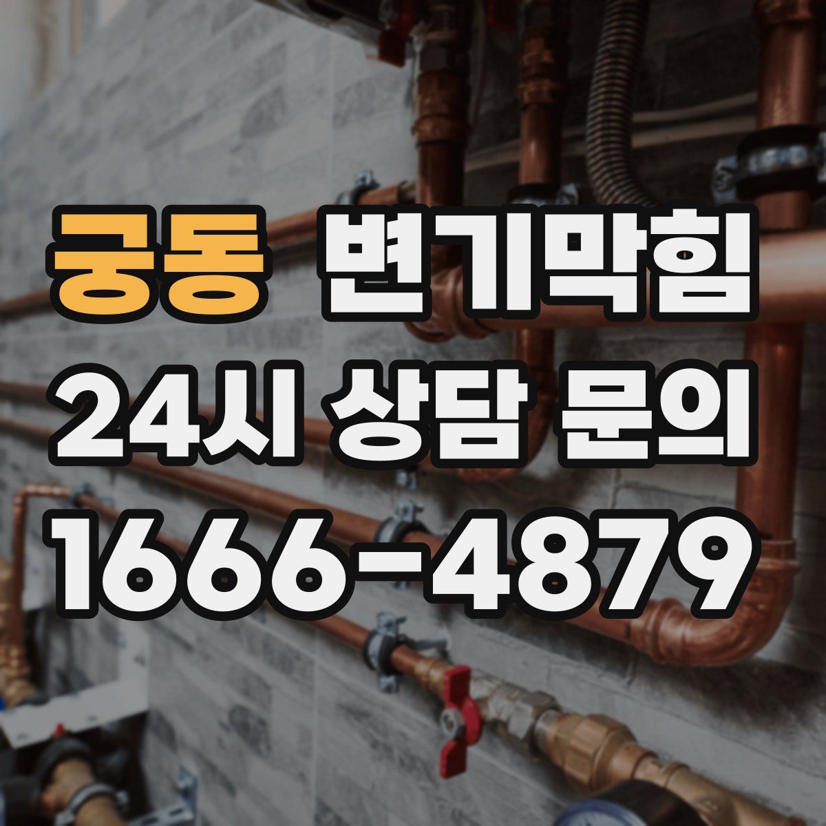 궁동 변기막힘