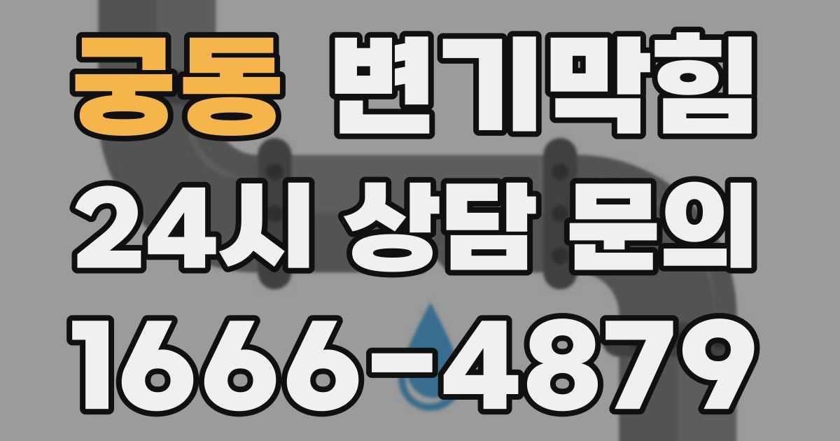 궁동 변기