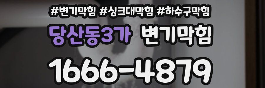 변기막힘