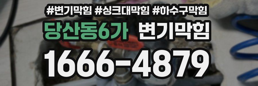 변기막힘