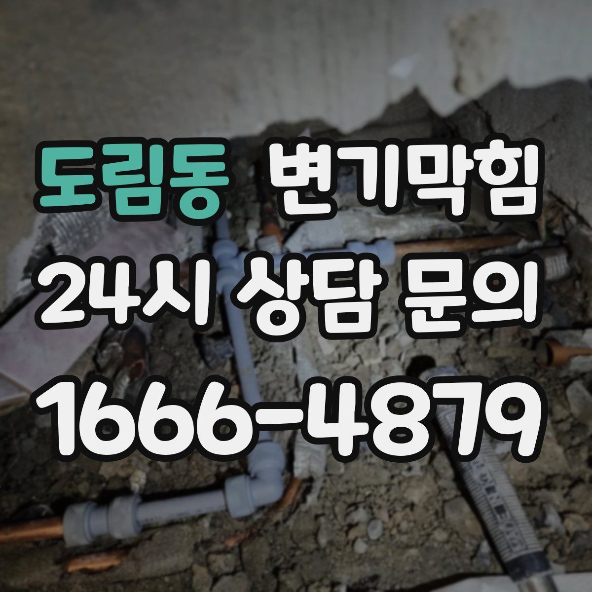 도림동 변기막힘