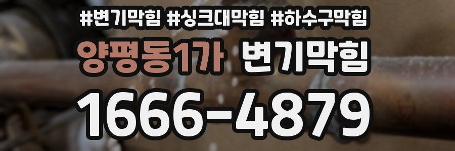 변기막힘