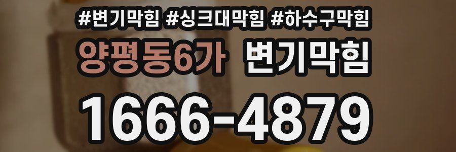 변기막힘