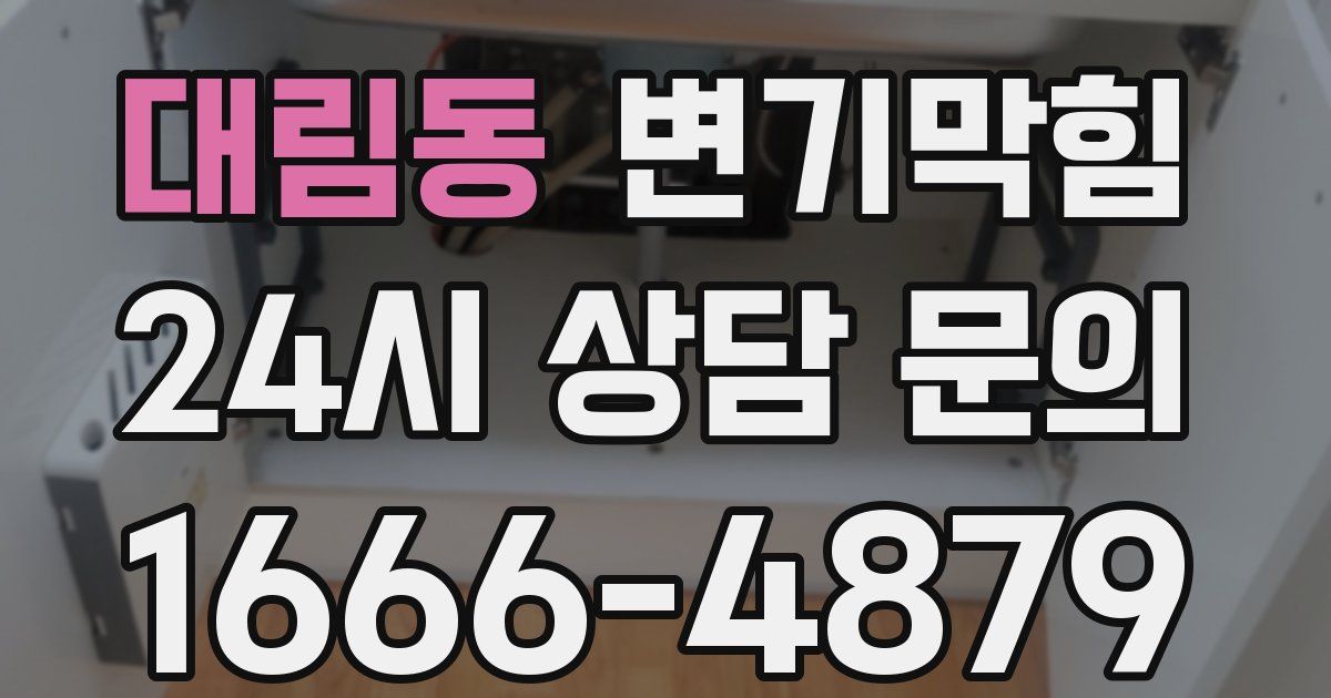 대림동 변기