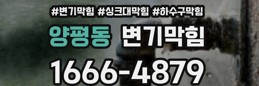 변기막힘