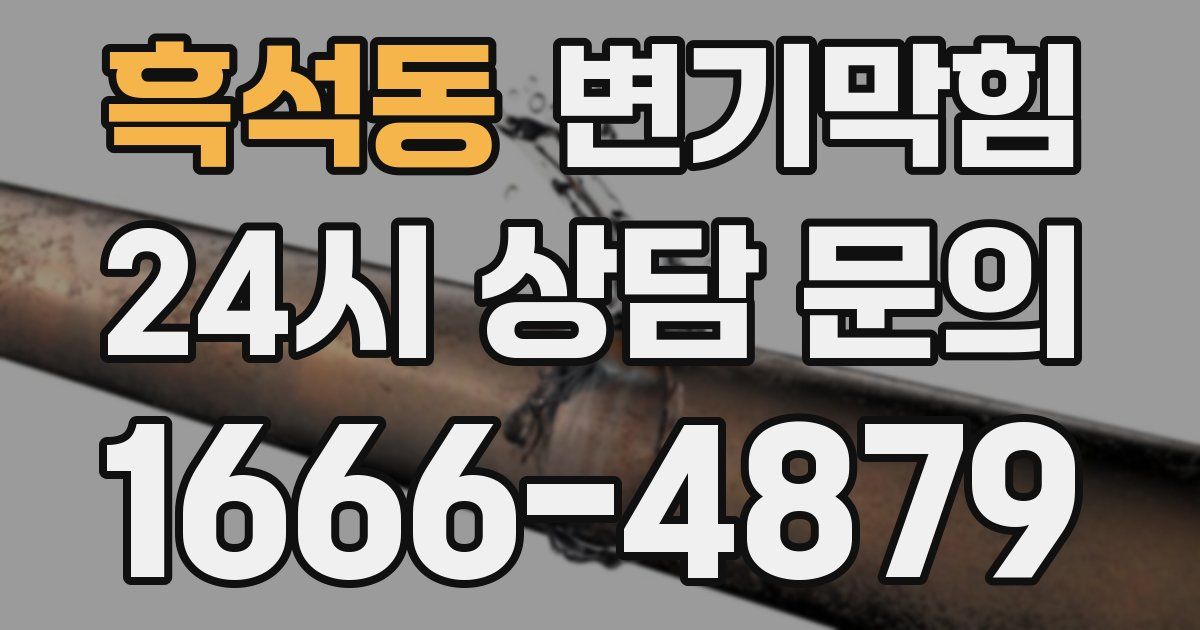 흑석동 변기
