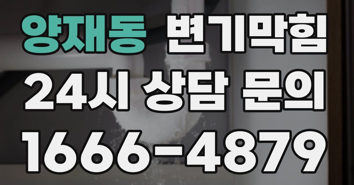 양재동 변기
