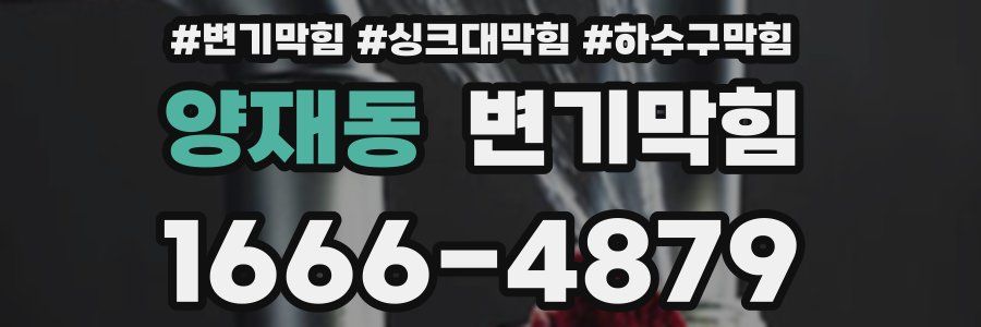 변기막힘