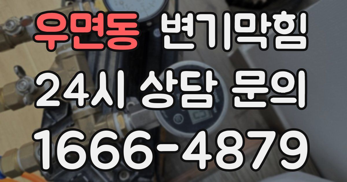 우면동 변기