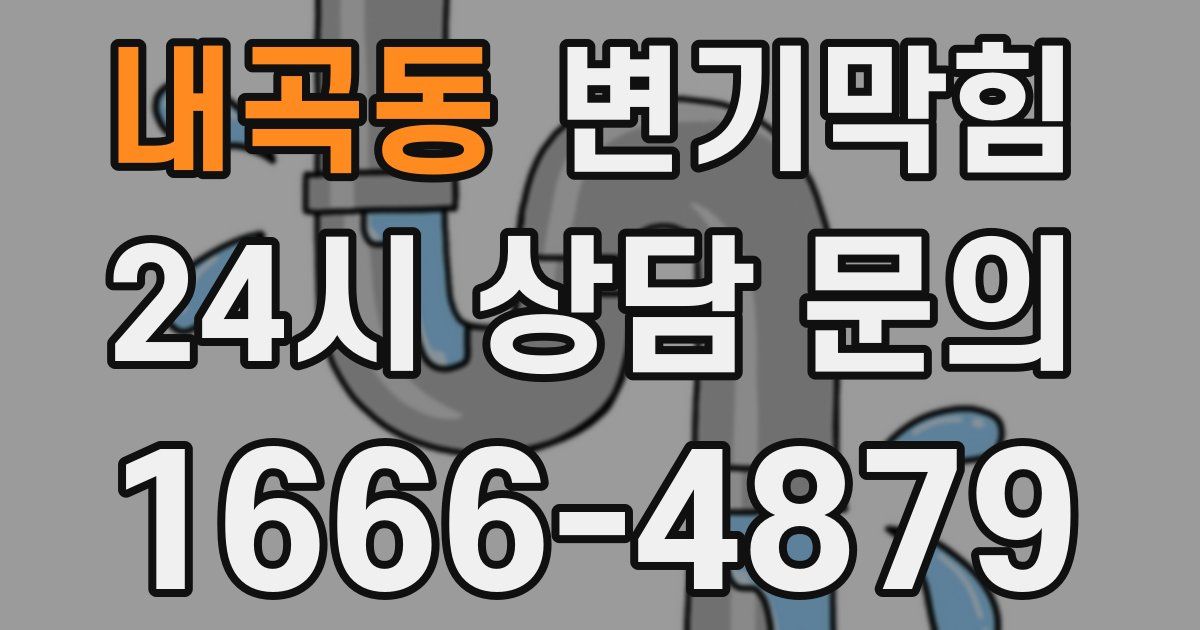 내곡동 변기