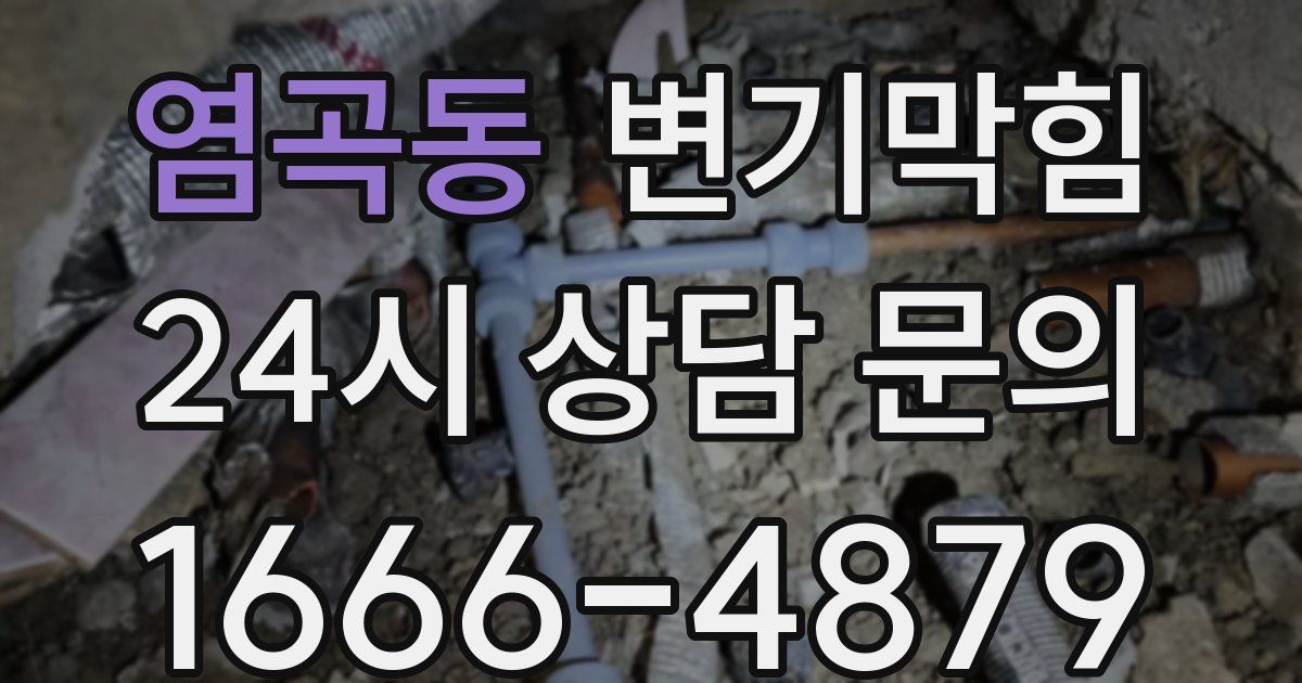 염곡동 변기
