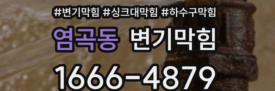 변기막힘