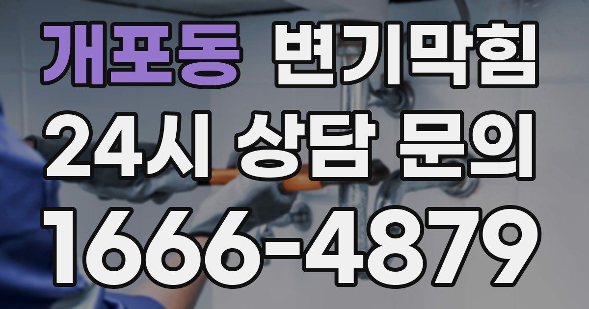 개포동 변기