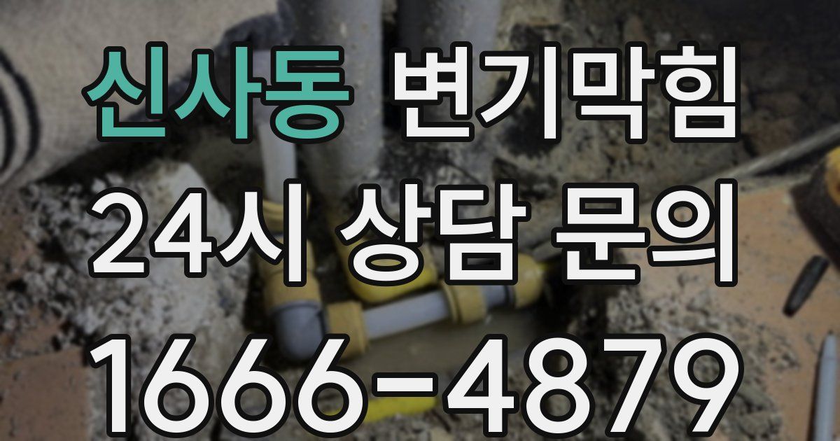 신사동 변기