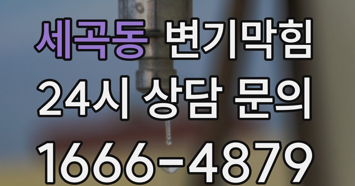 세곡동 변기