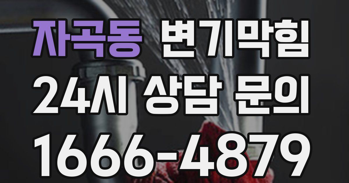 자곡동 변기