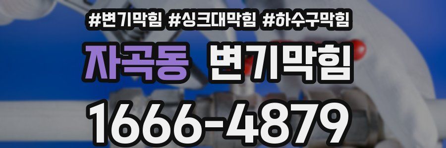변기막힘