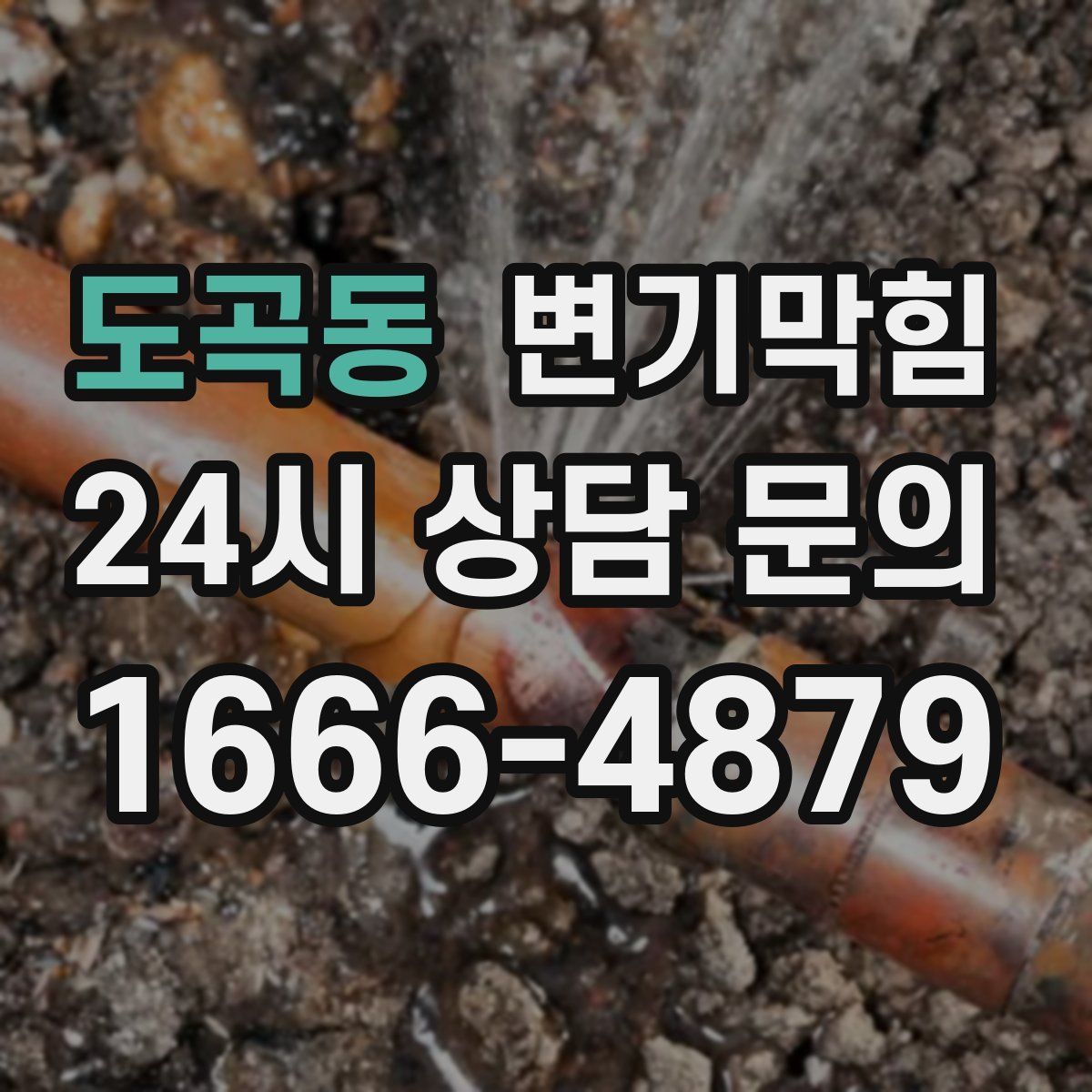 도곡동 변기막힘