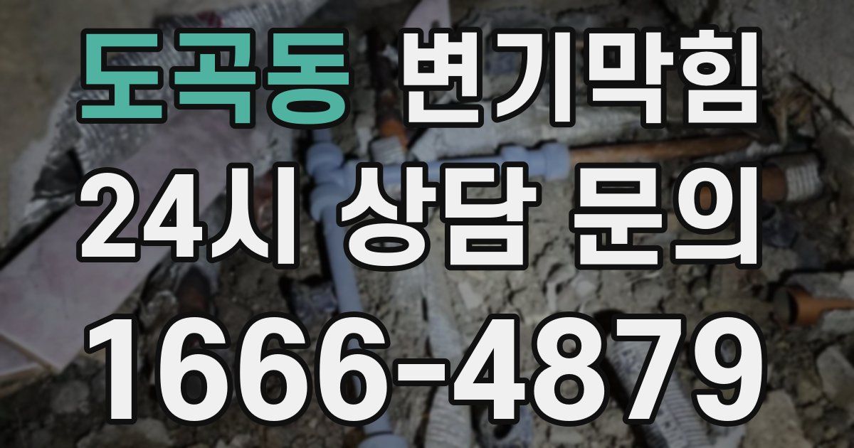 도곡동 변기