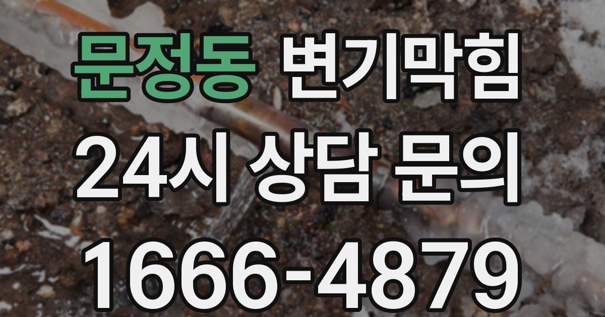 문정동 변기