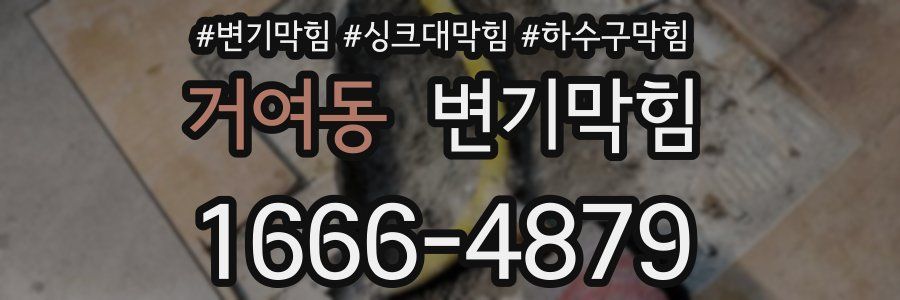 변기막힘