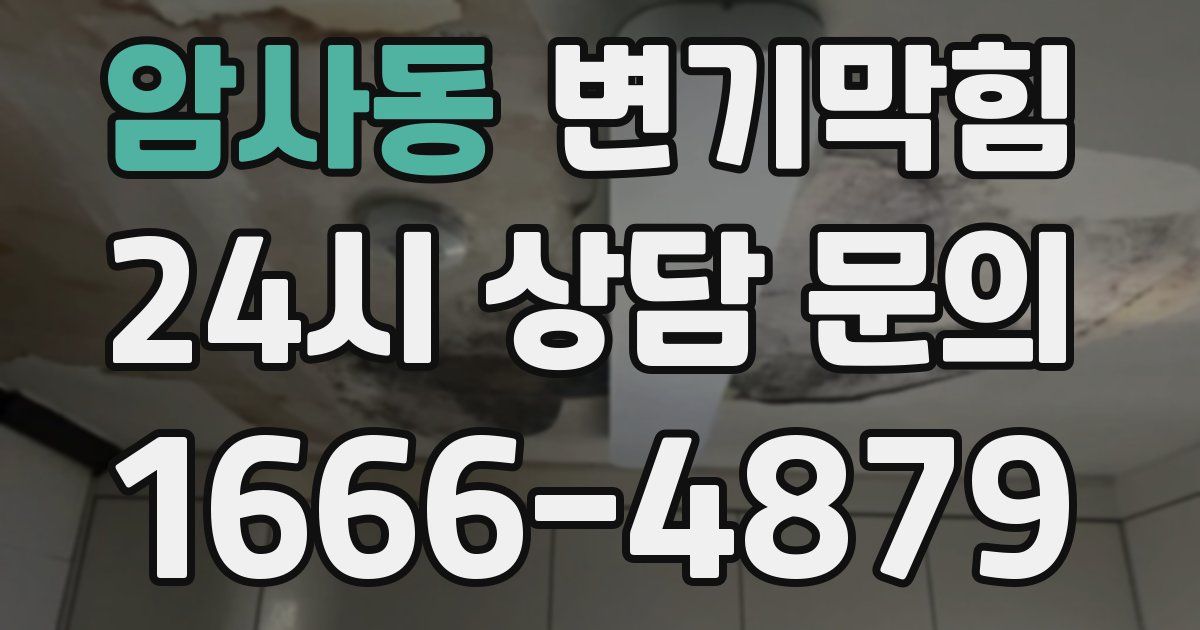 암사동 변기