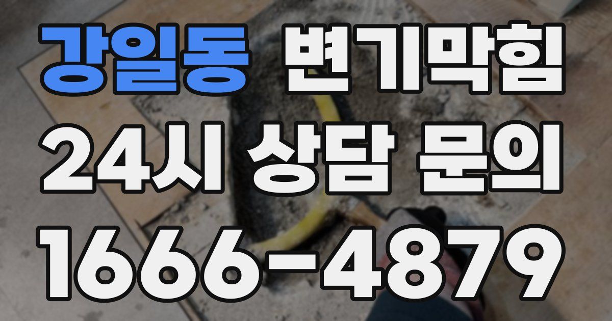 강일동 변기
