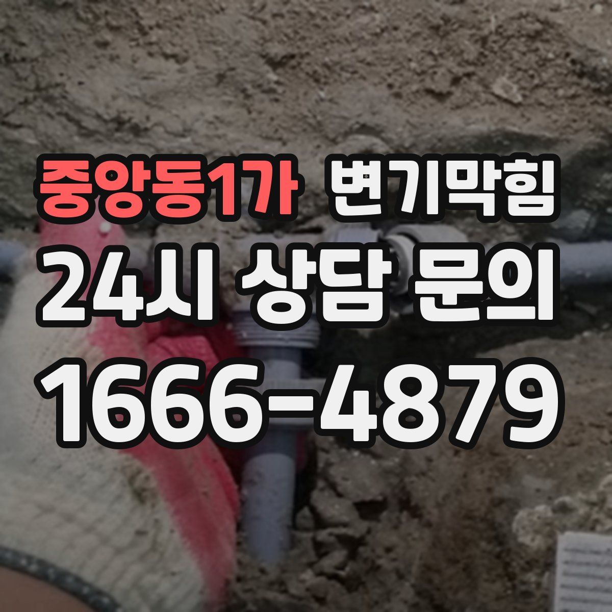 중앙동1가 변기막힘