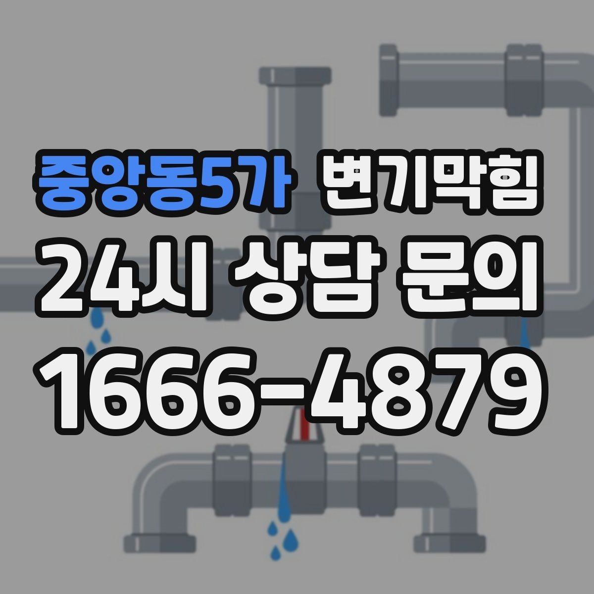 중앙동5가 변기막힘 다가구 배수구막힘 합류 간섭 제거